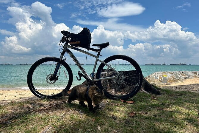 Singapore Beach City Cycling Tour - The guide’s role: friendly, flexible, and tuned to your group