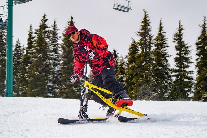 Ski Bike Rental in South Lake Tahoe - Price and Value: What $96.16 Per Person Buys You