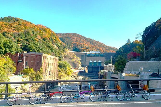 Slow Cycling Tour at Uji's Matcha Green Tea Fields and Heritage - Uji by bike: why this town fits “slow”