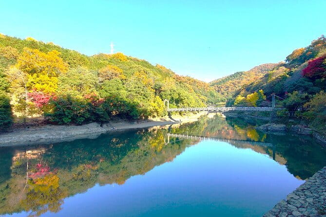 Slow Cycling Tour at Uji's Matcha Green Tea Fields and Heritage - Chazuna Tea and Uji Community Center: matcha context in 45 minutes