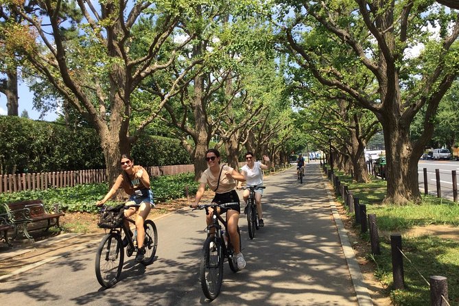 Small Group Cycling Tour in Tokyo - Stop 1: Meiji Jingu Shrine for 40 Minutes of Real Tokyo Quiet