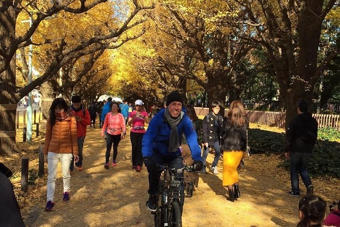 Small Group Cycling Tour in Tokyo - Stop 2: Aoyama Cemetery as a Different Kind of Story