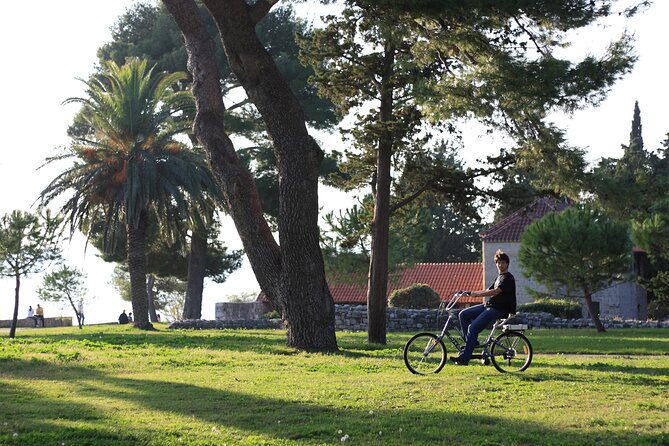 Split Electric Bicycle Tour - Guide Miro: safety-first teaching and stories that fit the ride