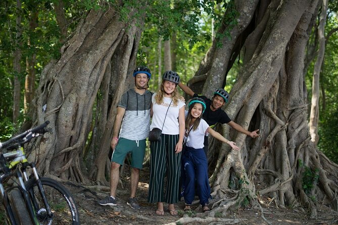 Sunset or sunrise bicycle tour around Angkor Wat and nearby temples - Ta Prohm: the jungle-overgrown temple moment