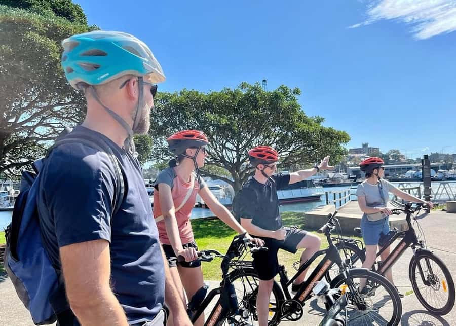 Sydney: Electric Bike Rental & Wheel Explorer Audio Guide - Royal Botanic Gardens to Mrs Macquarie’s Chair: viewpoints with breathing room