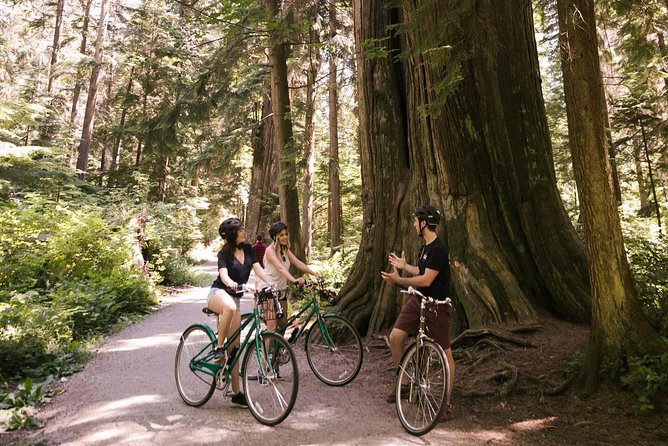 The Stanley Park Bicycle Tour by Cycle City Tours - Brockton Point: totem poles, a lighthouse pause, and respectful context