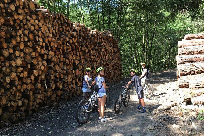 The Train Track Trail Mountain Bike Ride - Private experience - The 10:00 start, pickup limits, and why timing works