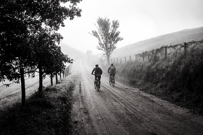 The Train Track Trail Mountain Bike Ride - Private experience - Bikes, helmets, and how support actually shows up