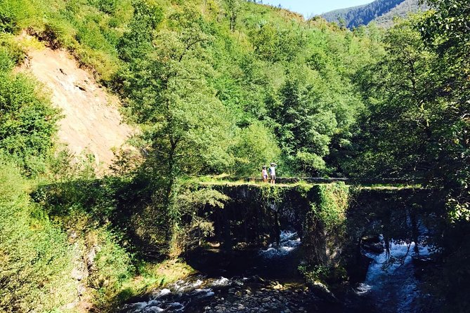 The Train Track Trail Mountain Bike Ride - Private experience - The Basque picnic: what you’ll eat and why it’s worth planning around