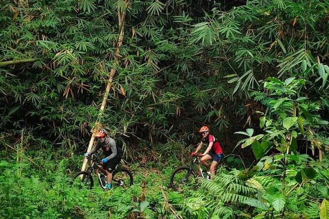 The Volcano Trail – Epic Volcano Cycling Adventure - Key points you’ll care about