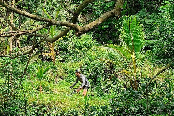 The Volcano Trail – Epic Volcano Cycling Adventure - Lunch with local snacks: the recovery you’ll thank yourself for