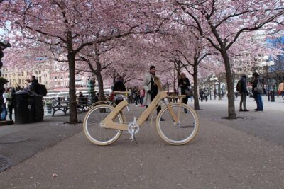 The Wooden Bicycle Tour in Stockholm - The guide experience: Fee’s explanations and the small-group advantage