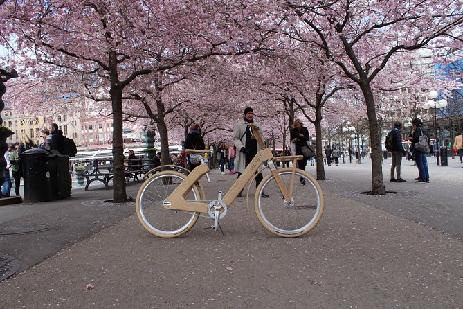 The Wooden Bicycle Tour in Stockholm - The guide experience: Fee’s explanations and the small-group advantage