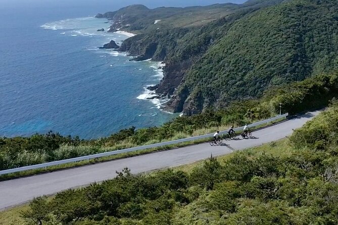 Tokashiki Island Guided Cycling Tour for 3-hours Course - Should You Book This Tokashiki E-Bike Tour?