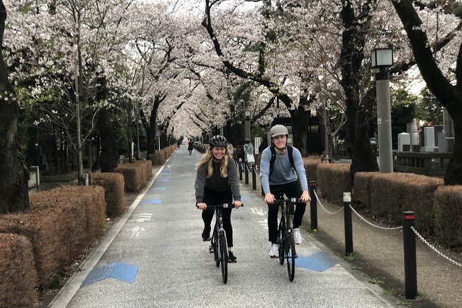 Tokyo Bike Tour: Shibuya & Hidden Tokyo - Why pedal through Shibuya instead of fighting the crowds