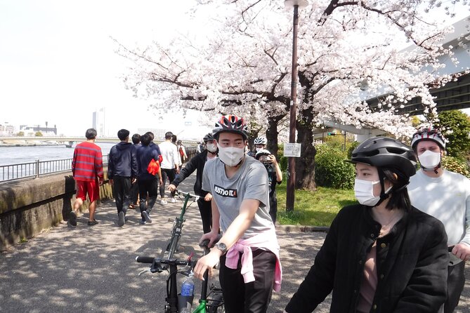 Tokyo downtown bicycle tour Tokyo Backstreets Bike Tour - Stop-by-Stop: Sakuramochi, Senso-ji Connections, and Temples With Symbols