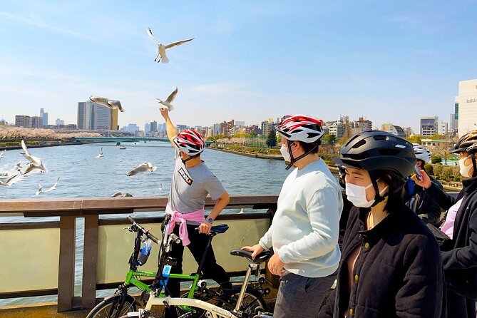 Tokyo downtown bicycle tour Tokyo Backstreets Bike Tour - Kyu Yasuda Garden: A 17th-Century Pause From City Noise