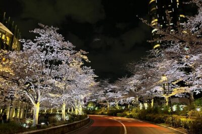 Tokyo Night Bike Tour: From Shibuya to Tokyo Tower via Roppongi - The route: Tokyo Tower, Roppongi, and the quieter edges of Aoyama