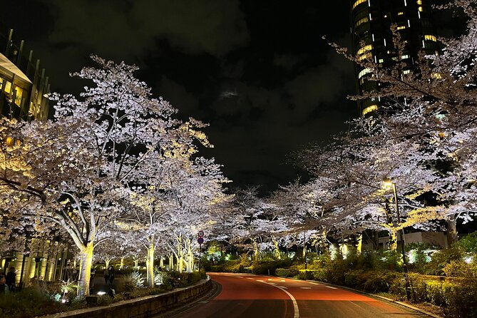 Tokyo Night Bike Tour: From Shibuya to Tokyo Tower via Roppongi - The route: Tokyo Tower, Roppongi, and the quieter edges of Aoyama