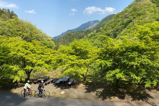 Tokyo's hidden nature cycling tour - Okutama Historical Road Tour - Cycling through Okutama Mukashimichi: spring water, wasabi, shrines, and a foot bridge