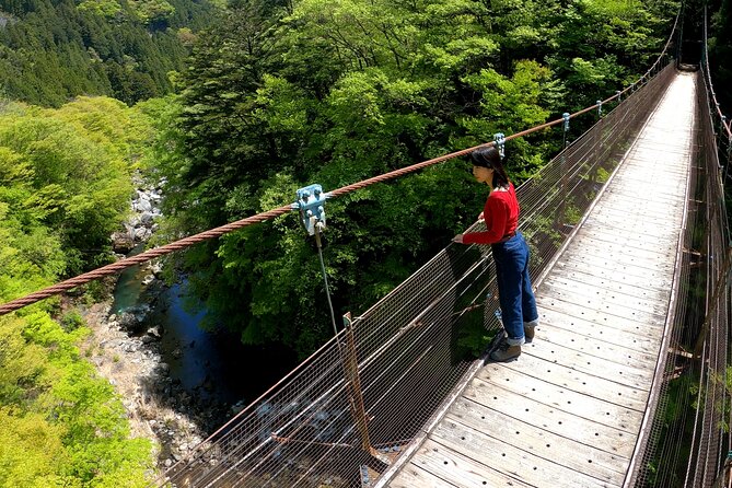 Tokyo's hidden nature cycling tour - Okutama Historical Road Tour - Pacing, bikes, helmets, and how a small group helps