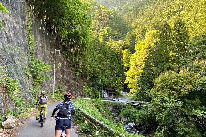Tokyo's hidden nature cycling tour - Okutama Historical Road Tour - Price and value: is about $184 fair for 3.5 hours?