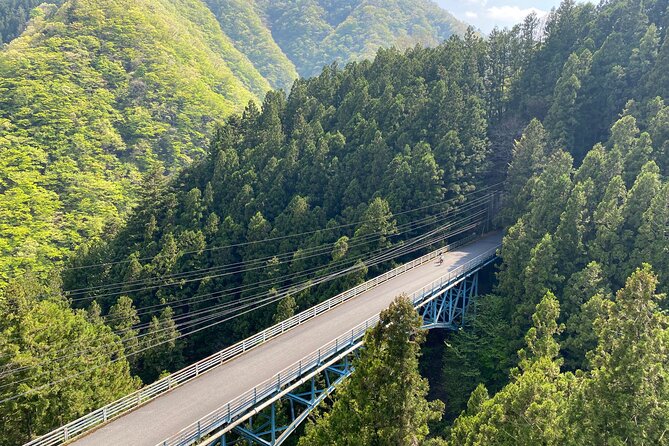 Tokyo's hidden nature cycling tour - Okutama Historical Road Tour - Who should book this tour?