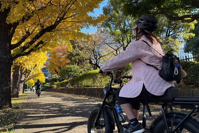 Tokyo Top Highlights 3h Guided E-bike Tour - What to Expect at Stops (How to Get the Most Out of Your Time)