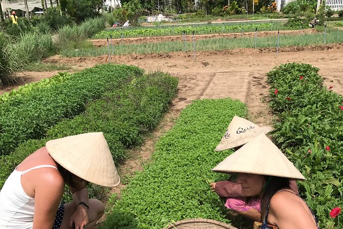 Tra Que Village Cycling And Farming - Lunch Is Included: Light Pho That Fits the Morning