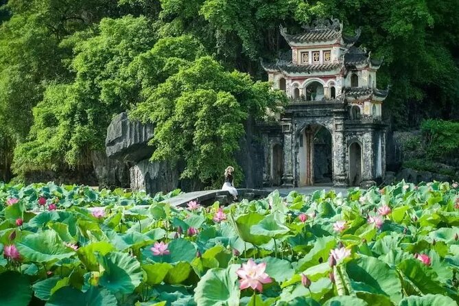 Trang An and Bich Dong Luxury Small Group Tour with Cycling - Cycling Around Tam Coc: Sports Bikes, Rice Fields, and a Local Family Visit