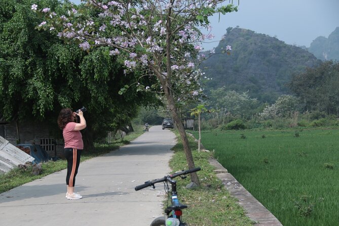 Trang An and Bich Dong Luxury Small Group Tour with Cycling - Lunch and Recharge Time in Ninh Binh Province