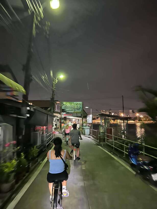 Twilight Firefly Bangkok Bicycle Tour - Chao Phraya firefly cruise: the synchronized part you came for