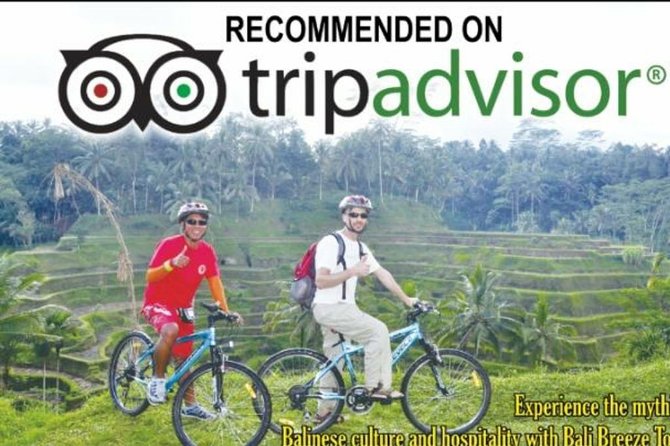 Ubud Cycling Tour - A morning downhill ride with rice terraces and Mount Batur views
