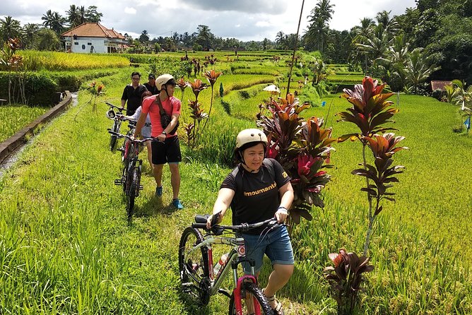Ubud Cycling Tour - The cycling experience: pace control, off-road options, and helmet safety