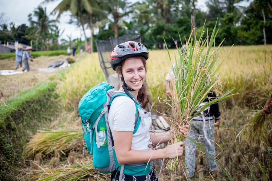 Ubud Cycling Tour : All Inclusive Cycling Adventure - Tampaksiring Coffee Stop: Luwak-Style Tasting Without the Pretend