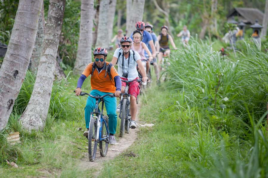 Ubud Cycling Tour : All Inclusive Cycling Adventure - Price and Value: Why $33 Can Work Here (If You Match the Ride)