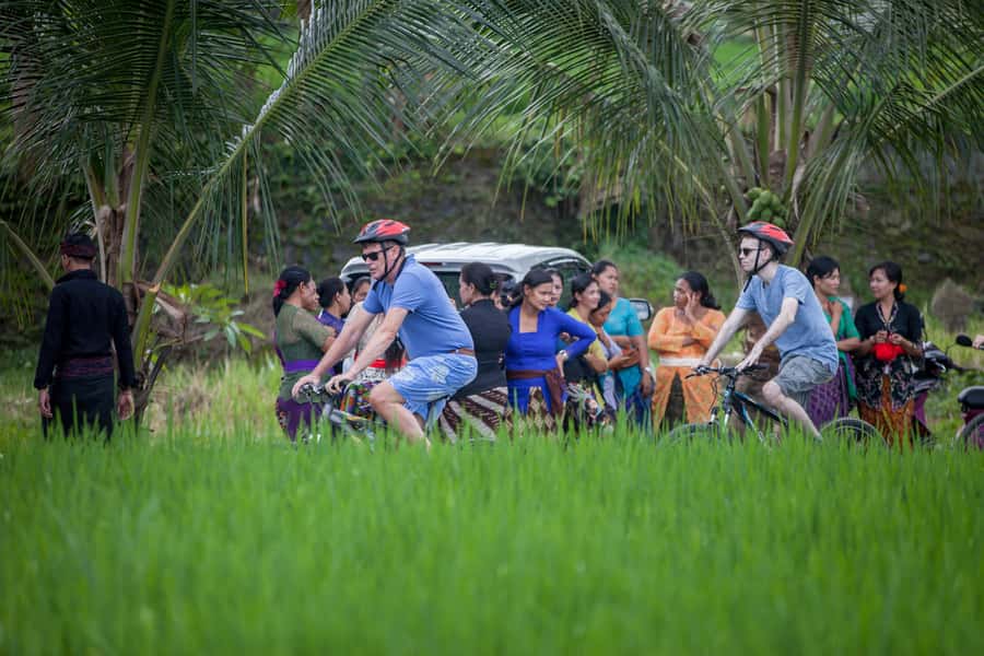 Ubud Cycling Tour : All Inclusive Cycling Adventure - Downhill Mountain Bikes: Where the Fun Lives (and Where You Should Pay Attention)