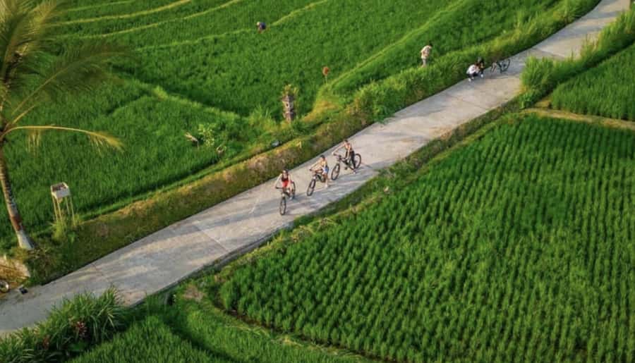 Ubud: Cycling Tour Local Villages, Temple, and Rice Field - Why this Ubud cycling day feels special (and not tour-bus typical)