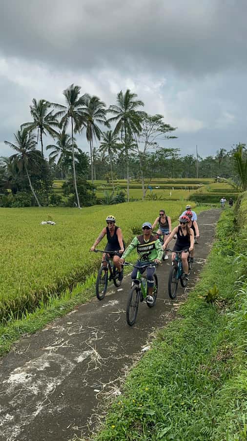 Ubud: Cycling Tour Local Villages, Temple, and Rice Field - Coffee plantation tasting, including Luwak coffee, plus tranquil sampling time