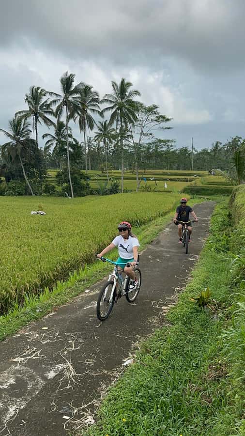 Ubud: Cycling Tour Local Villages, Temple, and Rice Field - Pace, fitness level, and what to pack for a comfortable ride