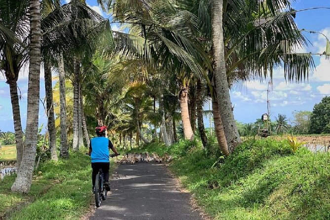 Ubud: Downhill Cycling with Volcano, Rice Terraces and Meal - Banjar Laplapan Meal: Lunch Included, Buffet Style, Usually a Finish Line