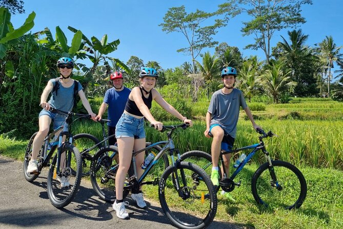 Ubud: Downhill Cycling with Volcano, Rice Terraces and Meal - Mount Batur Stop: Volcano, Caldera, and Lake Views Before You Ride