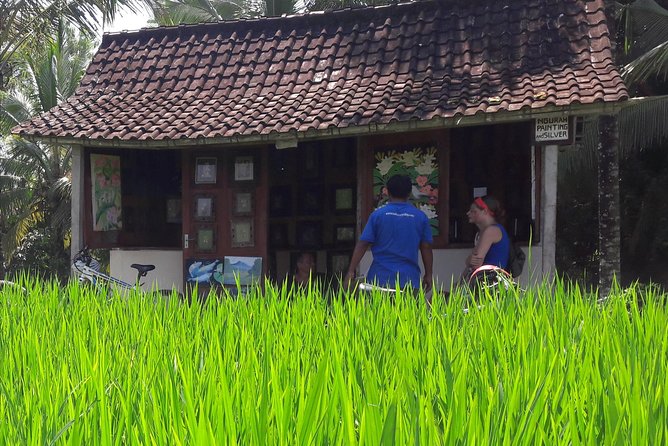 Ubud Eco Culture Cycling Exploration - Monkey Forest area: a photo-friendly moment in town