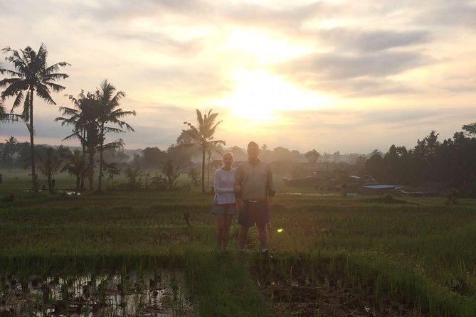 Ubud Eco Culture Cycling Exploration - Rice paddies and fruit breaks: Abangan and the coconut pause
