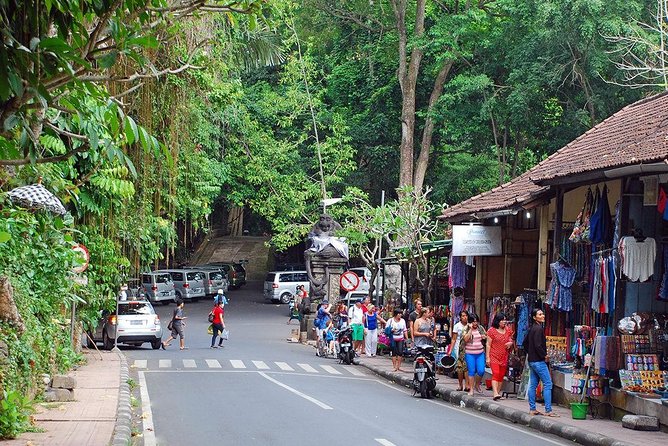 Ubud Eco Culture Cycling Exploration - Junjungan paddies: mostly downhill, with short uphill reality