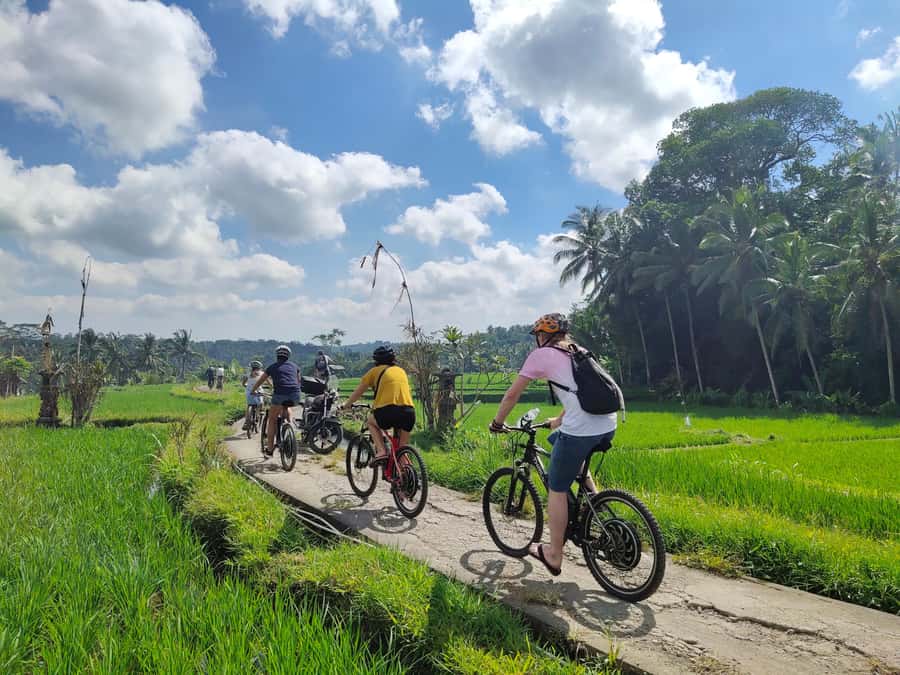 Ubud: Half-Day Tegallalang Electric Cycling Tour - Key reasons this tour scores high