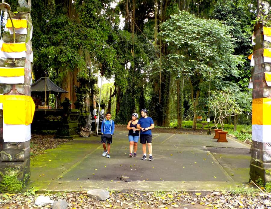 Ubud: Half-Day Tegallalang Electric Cycling Tour - Why Tegallalang by electric bike feels like a smart Ubud plan