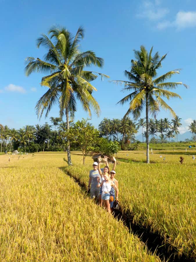 Ubud: Half-Day Tegallalang Electric Cycling Tour - Riding on your level: pedaling that can be gentle or strong