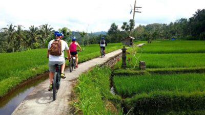 Ubud: Half-Day Tegallalang Electric Cycling Tour - Pickup, timing, and setup: less hassle than you’d expect