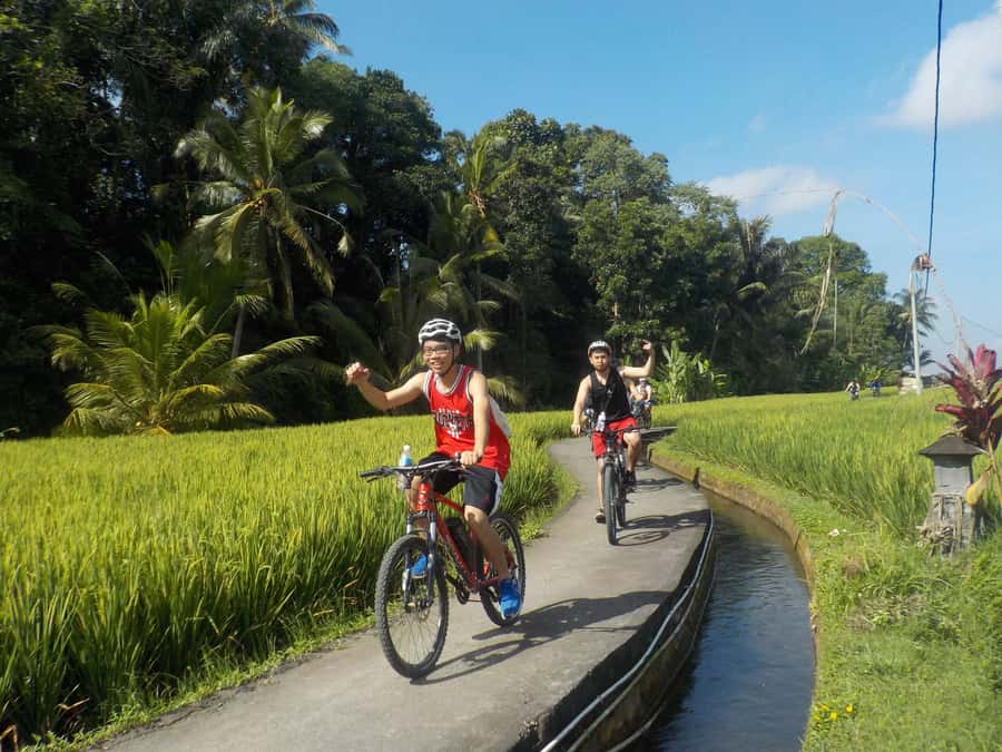 Ubud: Half-Day Tegallalang Electric Cycling Tour - Tegallalang rice terraces: the photo stops that actually make sense